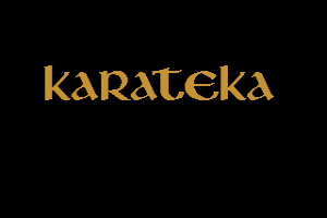 Title image from the game